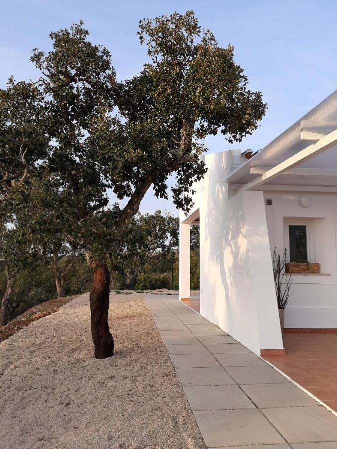 Monte Vale Manhas By Hi Alentejo Villa Sao Bartolomeu da Serra Exterior photo